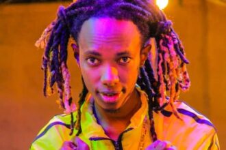 I was not satisfied with gate collections - Fefe Bussi Comments On His Past Concert