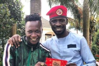 Bobi Wine Endorses Kabako’s Concert