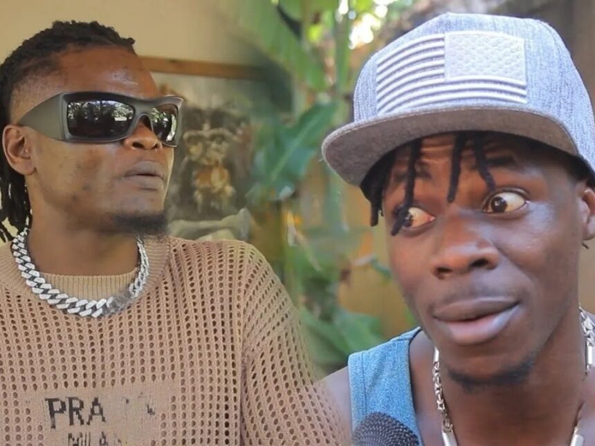 Jailbird Alien Skin Gets Roasted by Pallaso!